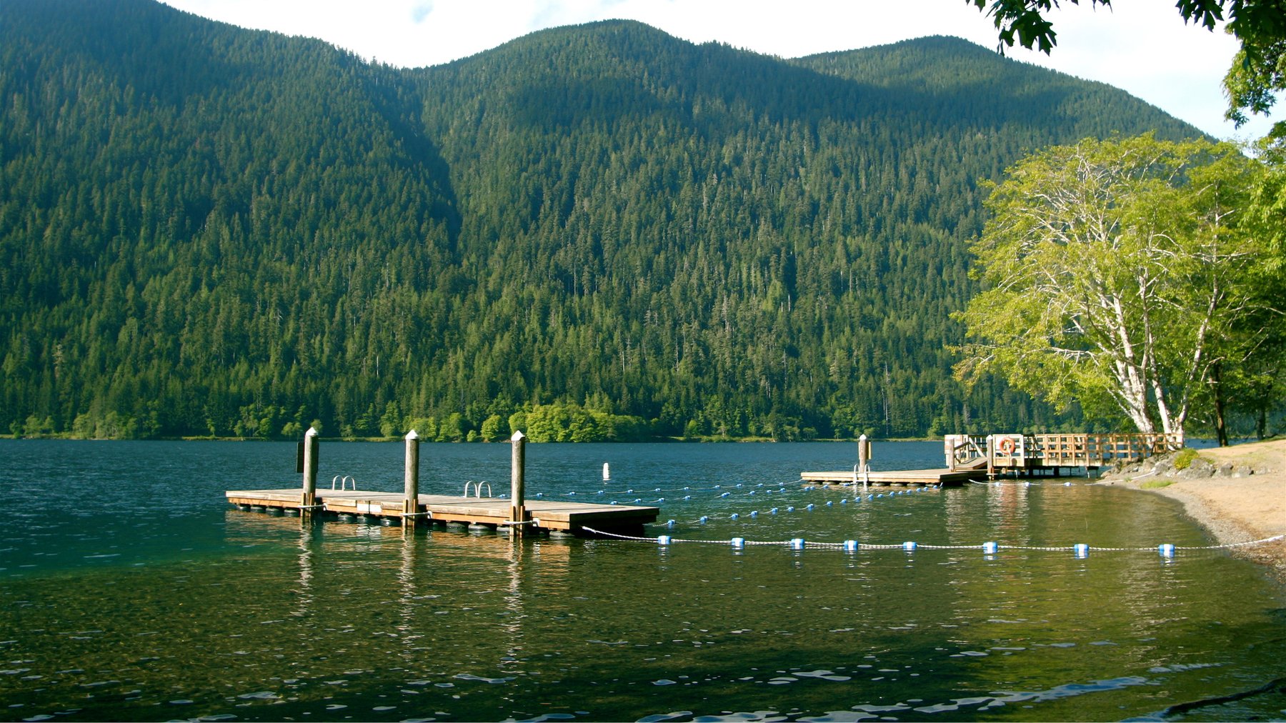 Lessons from Summer Camp: Let Go of Expectations