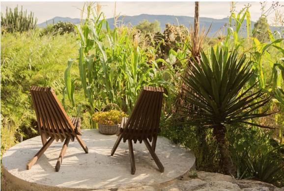 Two chairs in a garden in Oaxaca