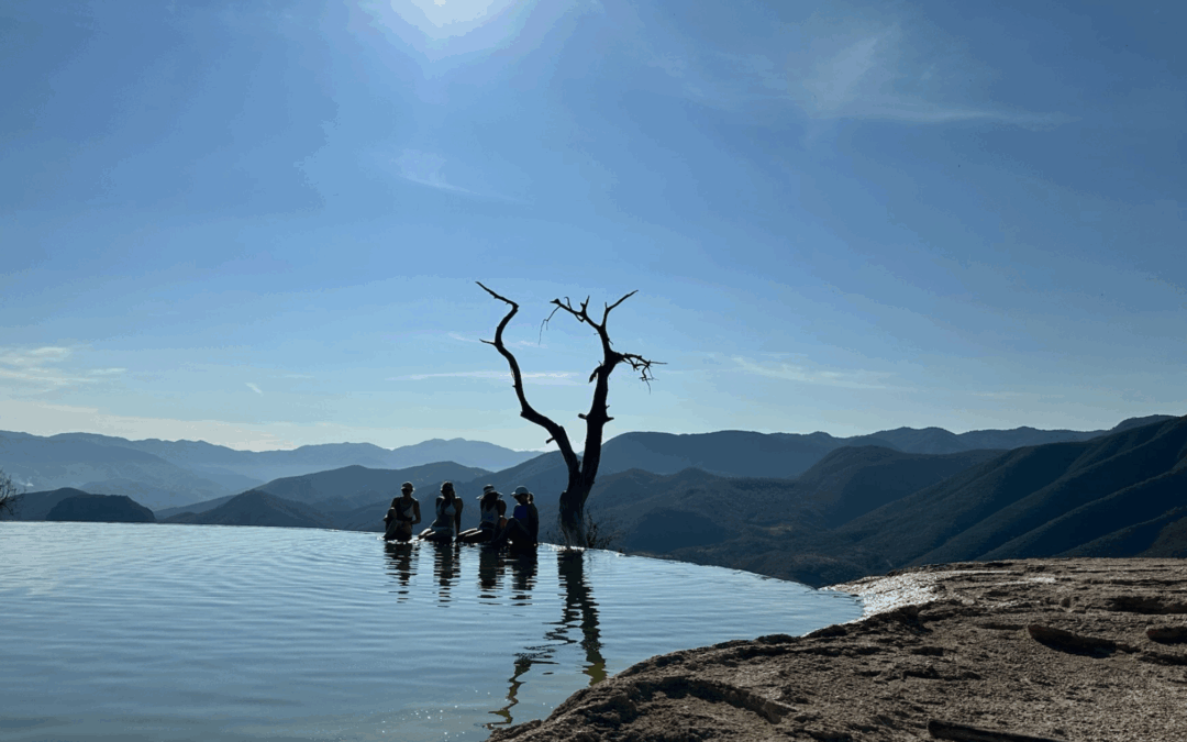 The Power of the Pause: Why Stepping Back Moves You Forward