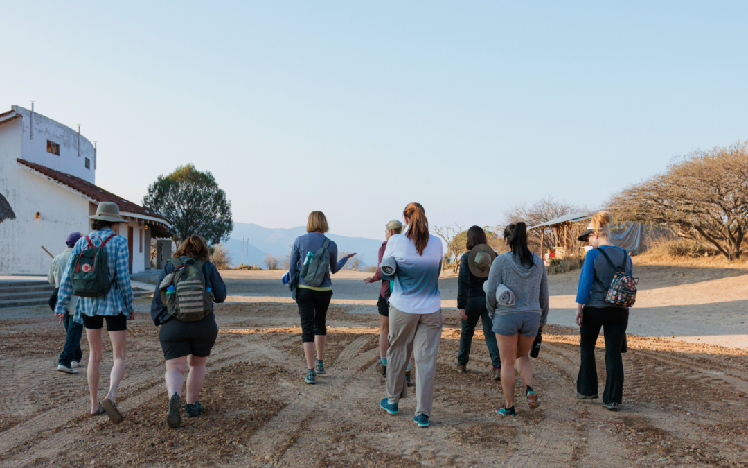 The Power of the Pause